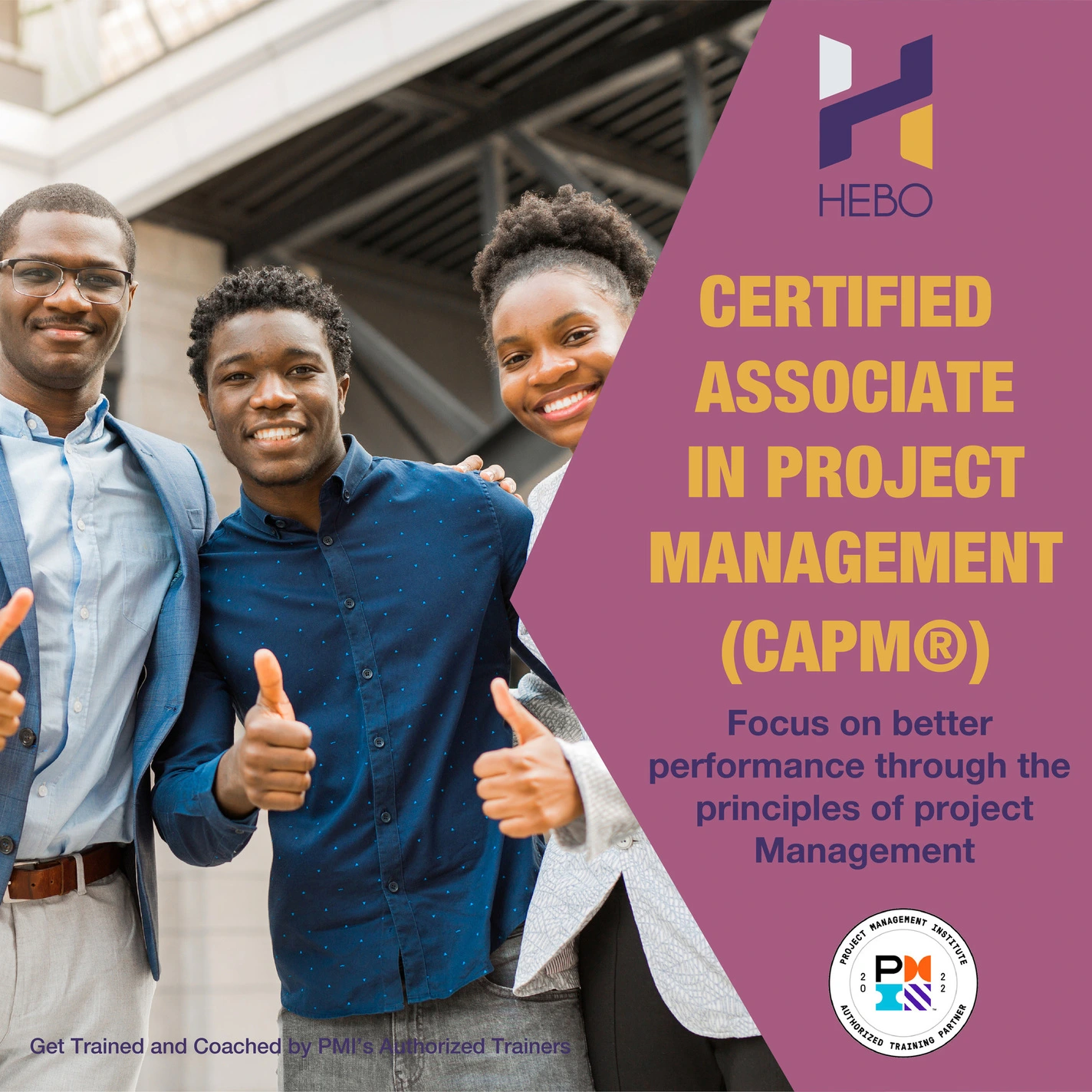 certified-associate-in-project-management-capm-virtual-class