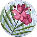 Alice Aj profile picture